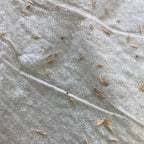 Vegetation Bags with Grass Seeds for Rapid Slope Stabilization & Erosion Control
